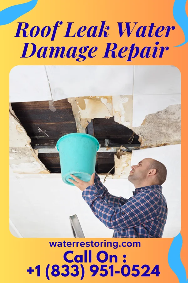 Roof Leak Water Damage Repair in Pleasant Hill, TN
