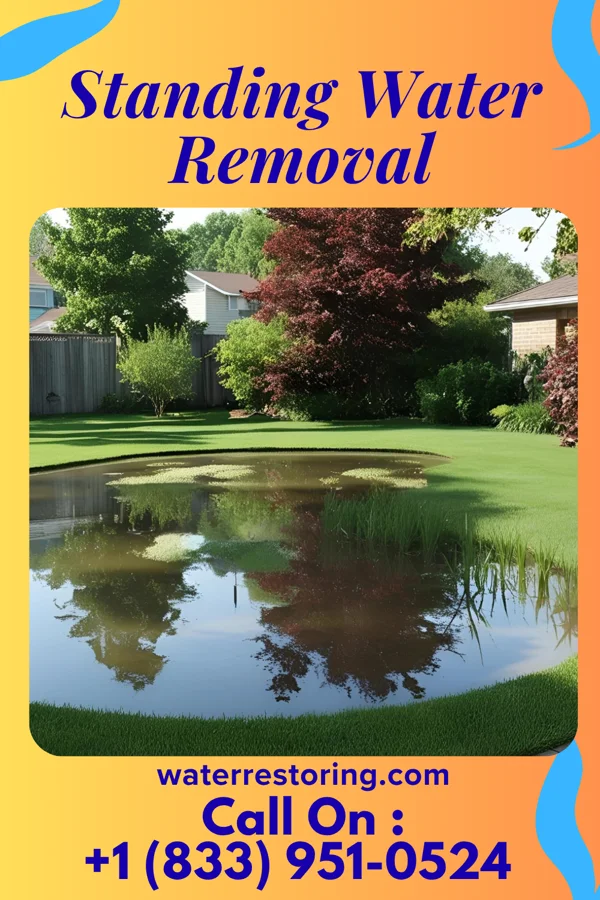 Standing Water Removal in Pleasant Hill, TN